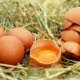 Eier