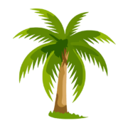 Palme